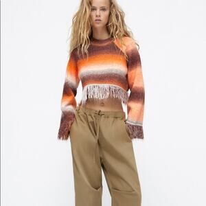 Zara Fringe Striped Cropped Sweater